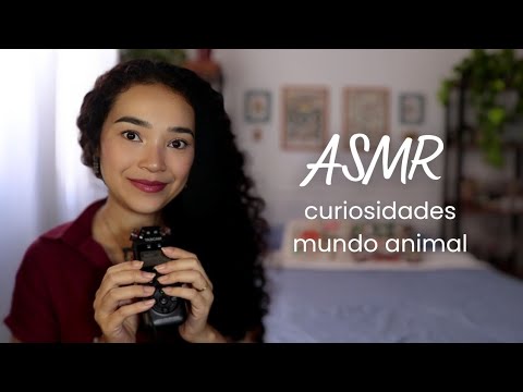 ASMR Ear to Ear | Sussurrando Curiosidades do Mundo Animal 🐆