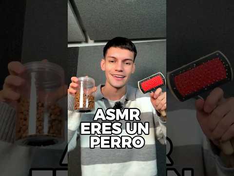 ERES UN PERRO Y TE CUIDO 🐶 #asmr #shorts #asmrvideo #comedia