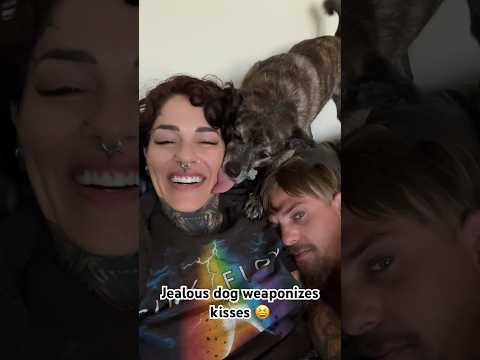 Weaponized Dog Kisses 👅 #jealousy #jealous #dogmom #dogshorts #funnydogs #funnydogvideos #cutedogs