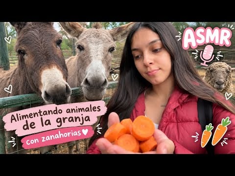 ASMR ALIMENTANDO🥕ANIMALES DE UNA GRANJA| BURROS, VACAS y UN PONY| SOFIWI
