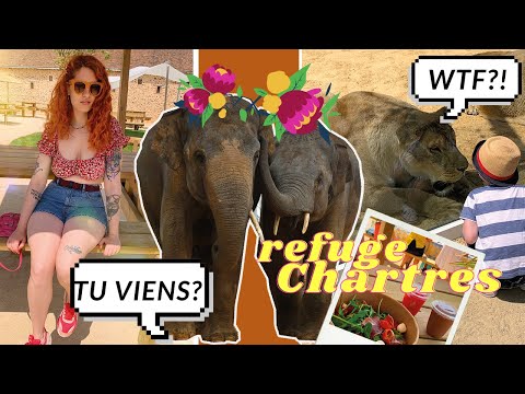 #VLOG ASMR ♡ à la découverte du zoo refuge La Tanière de Chartres