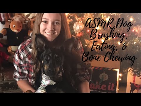 [ASMR] Dog Brushing, Bone Chewing, Ice Crunching *LOTS OF CHEWING*