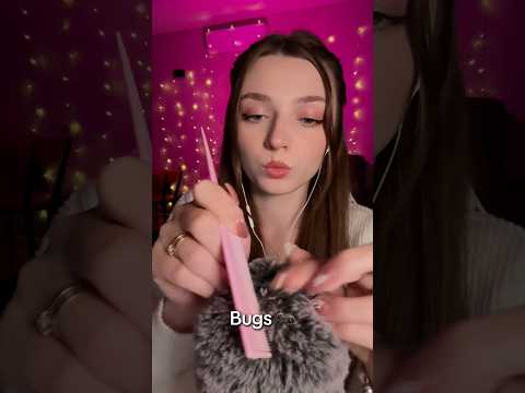 Bugs 🐜 #asmr #asmrsounds #asmrrelax #asmrtingles #asmrwhispers #asmrsleep #relax #tingles #whispers