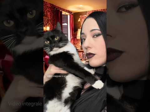 ASMR POV: Sei a casa di Morticia Addams