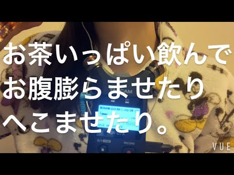 ASMR 閲覧注意⚠️お腹の音【request move】