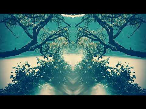 La Mer Du Son (sea of sound)🌙 eclipse meditation ASMR tuning forks + bells