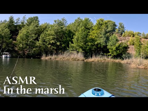 ASMR 🌙 Stand up paddle in the marsh - Water, wind, nature (no talking)