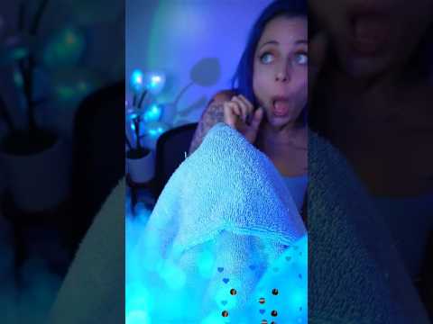 RIP Horsefly 😭😂🙏 #asmr #livestream #fail #bloopers