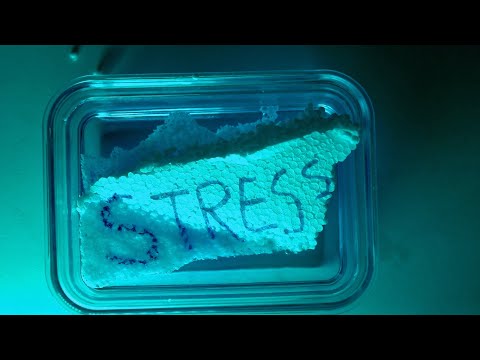 ASMR | 당신이 잠든 사이 스트레스가 녹고 있습니다. #Stress #Headspace