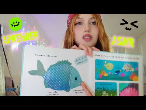 aprende los colores en inglés