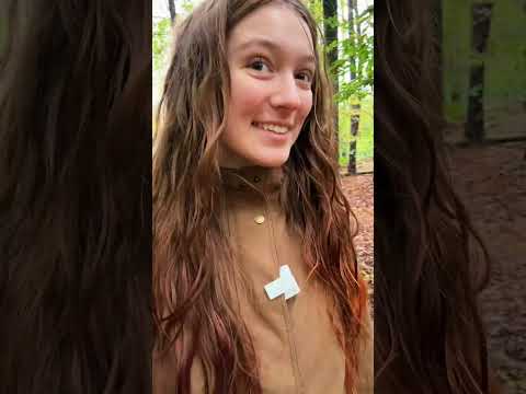 🌲🍁Here is an autumn woods walk if you need it🍁🌲