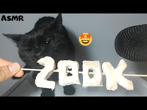 200K Subscribers Special / Cat eating chicken breast ASMR