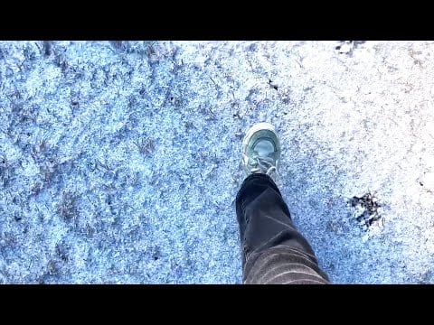 RARE Florida Snow Crunches | ASMR (1 Hour Loop For Sleep and Study)