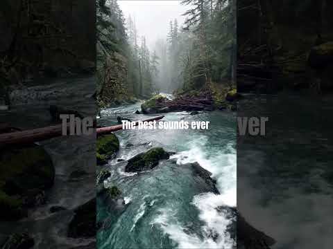 The beat sounds ever 99.99% Relax