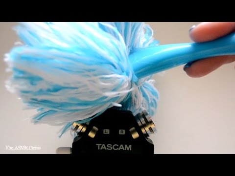 ASMR Duster . Brushing . Bristles . Crinkles . Close Up Sounds & Visuals