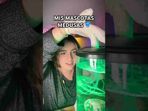 Mis mascotas medusas 🪼 #asmr #medusas #asmrcommunity