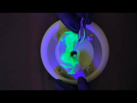 ASMR - Spooky Scary Ear Cleaning - Goop and Cotton Removal - Gloves - Soft Spoken