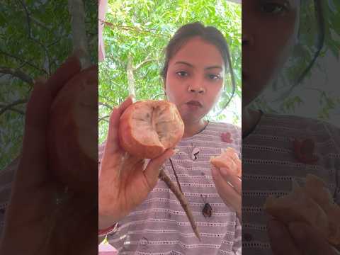 asmr eating fresh sitafal #asmr #asmreating