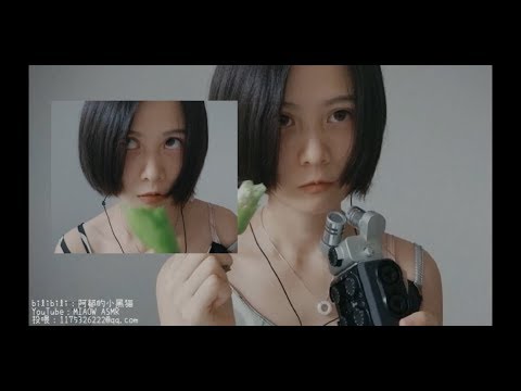 立秋，立秋，立个球的秋！Capsicum CHEWING EATING SOUNDS青椒尖椒咀嚼音，食音【MIAOW ASMR/阿郁的小黑猫】