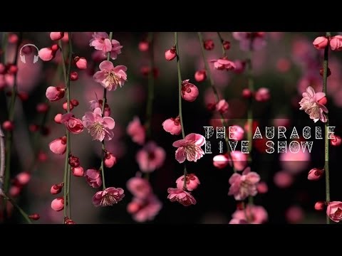 The Auracle Live Stream Feb 6th 23:30 GMT