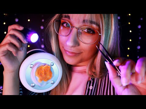 ASMR em Português | Limpeza de Ouvidos 👂