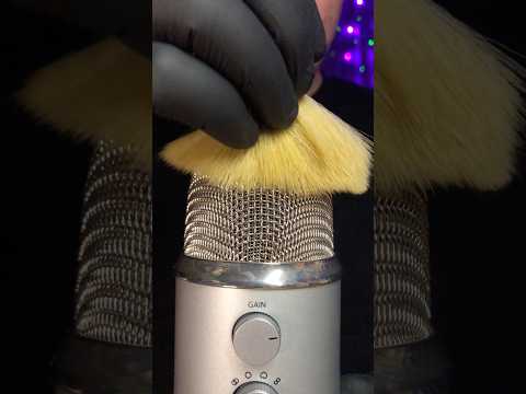 1 Minute ASMR Mic Brushing! 🖤 #asmr