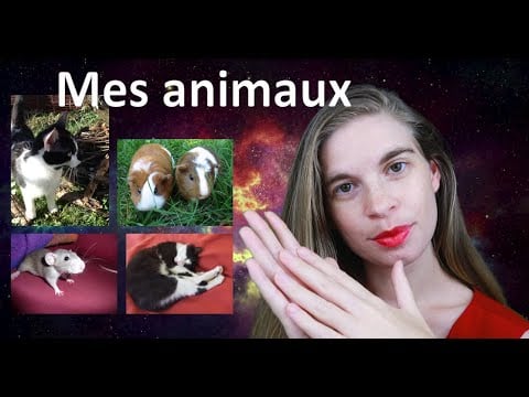 [ASMR] Mes animaux - chats, cochons d'Inde, rats
