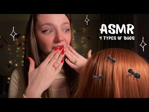 ASMR 4 types of bugs 🐜