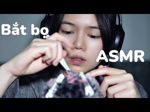 ASMR VIỆT NAM | Bắt bọ kết hợp  - Bug and nail|