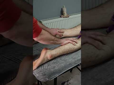 MASSAGE TECHNIQUES TO RELIEVE MUSCLE PAIN IN THE HIND LEGS #satisfying #relaxing #asmr #shorts