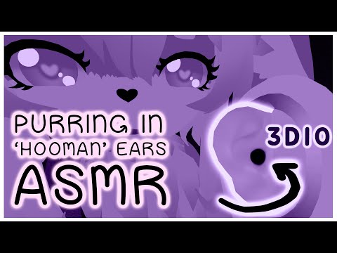Bunny Girl's Intense Purring & Popping to Help You Fall Sleep