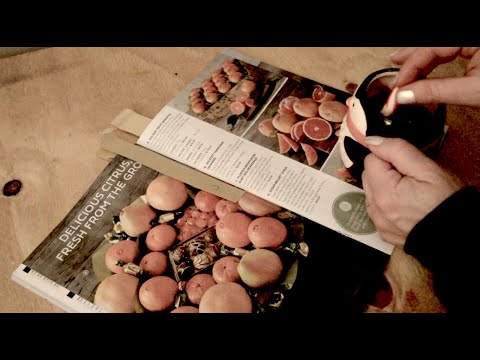 Asmr - Holiday Catalogue Consultant - Softly Spoken
