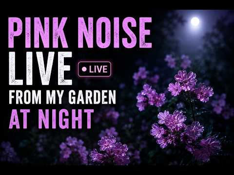 LIVE Pink Noise from My Garden at Night 🌸Sleep , Study & Deep Focus ▪ No Talking ▪ No Music