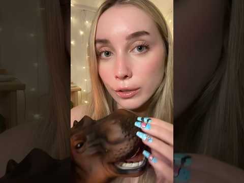 Hippo face nibbling 🦛 #asmr