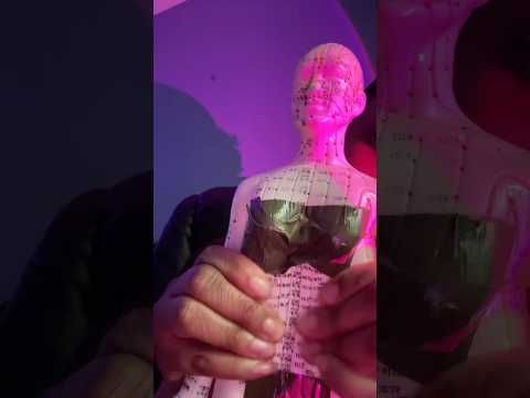 ASMR for stomach issues with acupuncture doll #asmr
