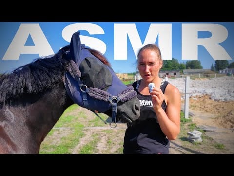 ASMR at the Horse Farm 🐴 