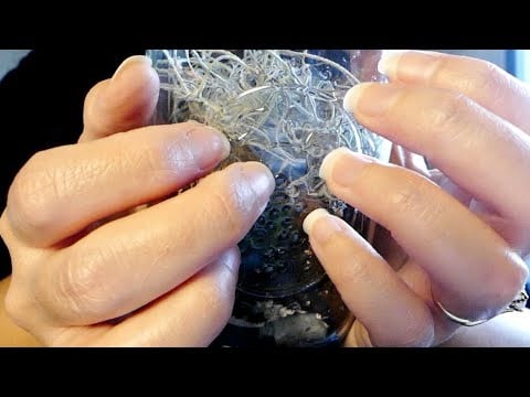 ASMR Gum Chewing and Tapping