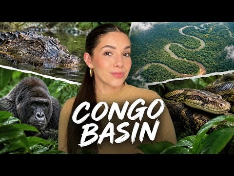 ASMR Deep Dive - Why You Should Fear the Congo Basin