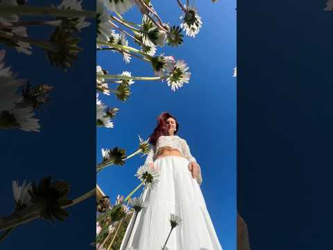 ASMR POV: sei una margherita 🌼