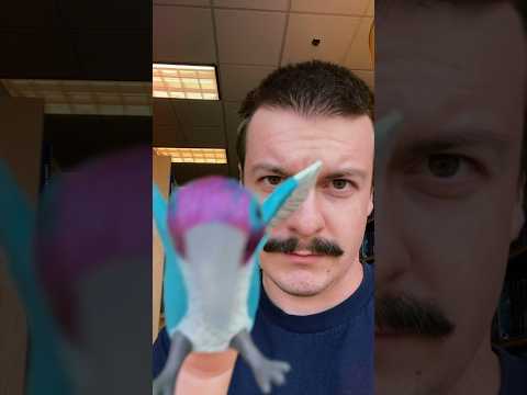 Hummingbird pecks your face #asmr #visualasmr #asmrsounds #asmrshorts #shorts #raeasmr #lenstapping