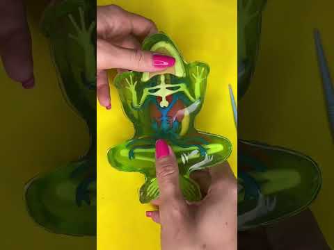 ASMR Dissecando sapo em laboratório #shorts