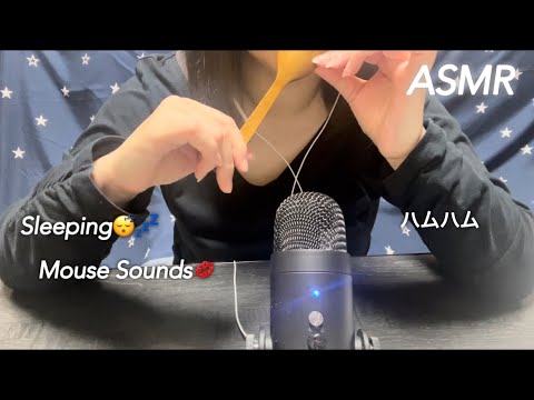 【ASMR】スプーンをおいしくハムハム、眠れるマウスサウンド💋 Savor the spoon hum hum , the sound of a mouse helping you sleep😴💤