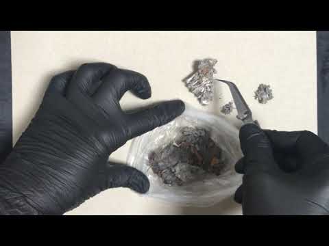 LATEX GLOVES 🙌 OWL PELLETS 🦉 A ball of bones, fur and other things 🎧 [[ASMR]]