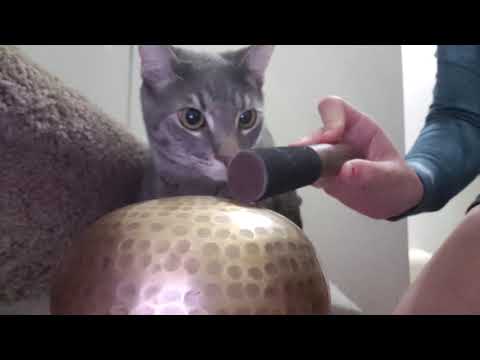 ASMR Meditation Bowl Sounds and Ringing ~ FC(ASMR)