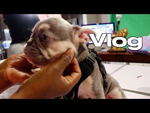Family Game Night | Surgery Follow up | Popeye's Chicken With Mash Potatoes | Rosy So Cute | Vlog88