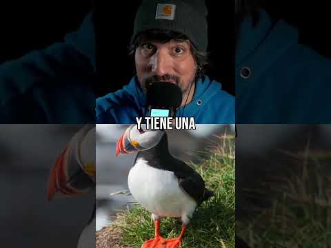 Tiene una CURIOSÍSIMA costumbre 💩