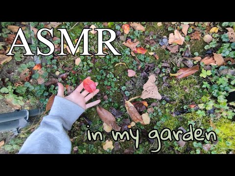 ASMR IN MY GARDEN 🍂🍁💚