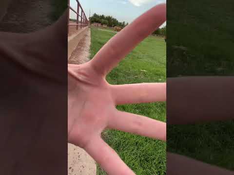 Asmr Sounds in Nature 🐮 #asmr #relax #visualtingle #asmrtriggers #tingles #triggersforsleep