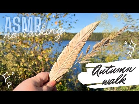 ASMR: Slow tv in nature - first frost (scratching & tapping) - no talking