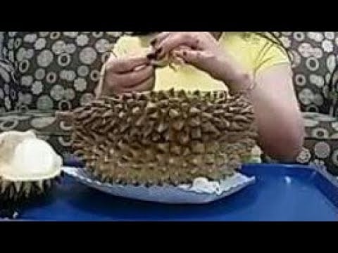 DURIAN   MUKBANG:THE SMELLIEST FRUIT IN THE WORLD.Igorot   in Denver Colorado.